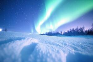 Snow covered field under night sky. Green aurora lights up the cold arctic landscape. Trees visible on horizon. Stars shine above. photo