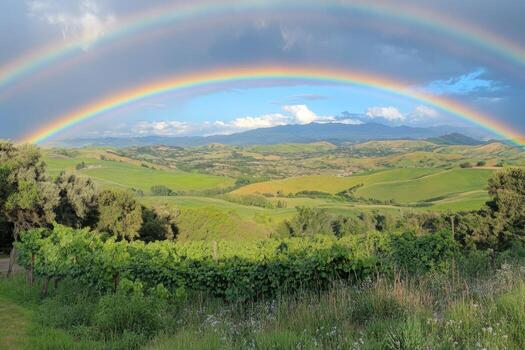 Double rainbow arches over green rolling hills. Vineyards and trees in the foreground. Distant mountains visible under a partly cloudy blue sky. photo