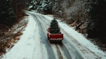 A red truck carrying a christmas tree down a snowy road photo