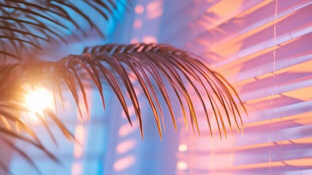 A palm tree with a light shining through the window photo