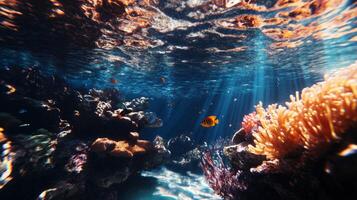 Underwater scene with sun rays shining through the water photo