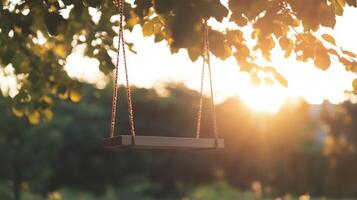 Wooden swing hanging from tree at sunset photo