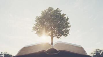 Bible Tree. A large tree grows from the pages of the Bible photo