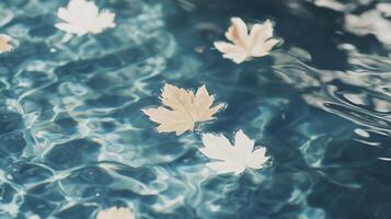 Autumn leaves floating in water photo