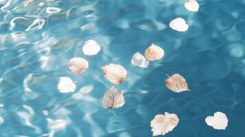 Autumn leaves floating in blue water photo