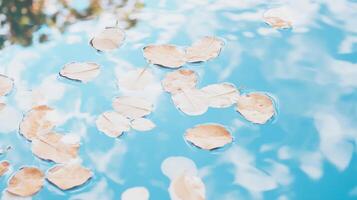 Autumn leaves floating in water. photo