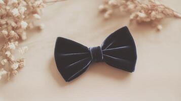 A blue velvet bow tie laying on a white surface photo