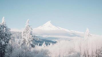 A snowy mountain covered in trees and snow photo
