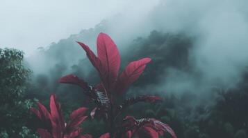 A red plant in the middle of a forest photo