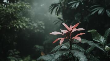 A single red flower in the middle of a jungle photo