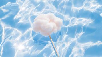 A cotton ball floating in the water with a stick photo