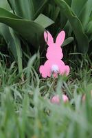 A pink Easter bunny is hidden in the grass. The depth of the frame is created by the eggs hidden there. photo