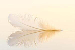 White feather floating on water with soft reflection photo