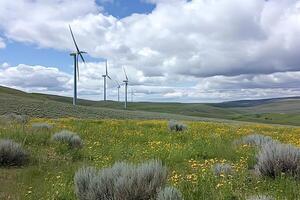 Wind turbines generating clean energy in a blooming field under cloudy sky photo