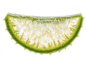 Aloe vera slice showing internal structure and spikes on white background photo