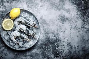 Fresh raw black tiger shrimps resting on ice with lemon slices photo