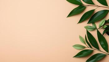 Lush Green Leaves on Soft Beige Background with Copyspace for Creative Use photo
