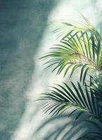 Lush Green Palm Leaves Serene Indoor Space Nature Background Copyspace Calm Atmosphere photo