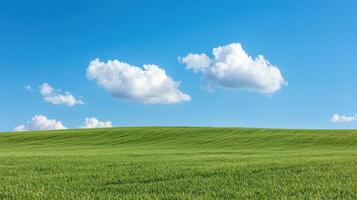 Vibrant Green Grass Field Under Blue Sky with Fluffy Clouds Nature Background Copyspace photo