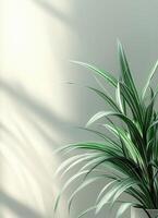 Lush Green Plant Against Minimalistic Background Copyspace for Text Indoor Environment photo