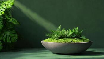 Lush Green Fern Arrangement Indoor Setting Photography Soft Lighting Copyspace Background photo