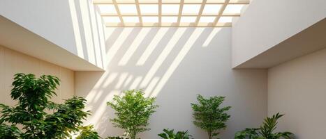 Indoor Plants in Minimalist Space Natural Light Background Copyspace for Design Ideas photo