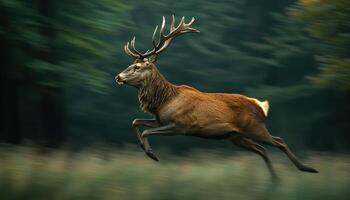 Majestic Stag in Midleap Against Forest Background Action Shot Copyspace Available photo