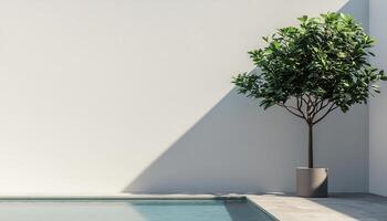 Contemporary Exterior Space with Big Tree and Pool Minimalist Background Copyspace for Design Inspiration photo