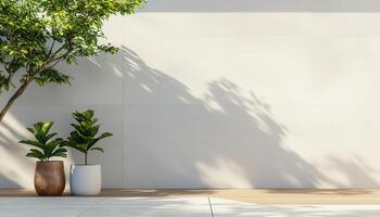 Minimalist Garden Rendering with Urban Loft Background Copyspace Modern Plants Bright Environment photo