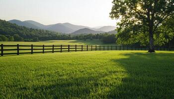 Serene Nature Scene Emerald Lawn Landscape Photography Tranquil Environment Dappled Background Copyspace photo