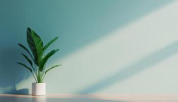 Sophisticated Minimalist Interior Design with Green Plant Empty Room Background Copyspace Natural Light photo