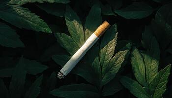 Cigarette on Leaves Natural Background Copyspace Conceptual Shot Calm Environment photo