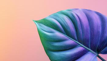 Vibrant Philodendron Leaf Close-Up Nature Background Macro Photography Colorful Copyspace photo