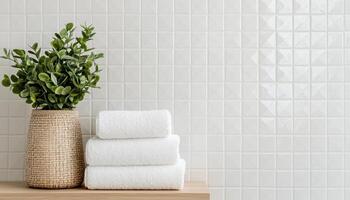 Modern Chic Bathroom Design with Tile Wall Natural Elements Copyspace Background photo