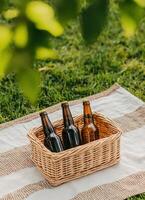 Picnic Drinks on a Blanket Outdoor Park Photography Bright Background Copyspace photo
