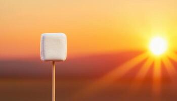 Roasting Marshmallows Sunset Background Food Photography Outdoor Copyspace photo