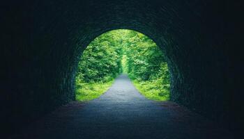 Solitary Illuminated Archway in a Lush Green Tunnel Background Copyspace Serene Nature Scene photo