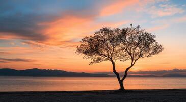 Dramatic Sunset Illuminating a Solitary Heartshaped Tree Tranquil Beach Nature Photography Serene Background Copyspace photo