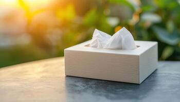 Soft White Tissue Box on Natural Stone Surface Nature Background Copyspace Evening Light photo