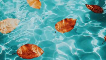 Crystal Clear Water in Backyard Pool with Autumn Leaves Relaxing Background Copyspace photo