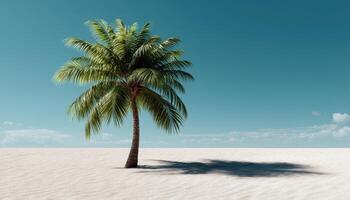 Lonely Palm Tree Deserted Beach Nature Scene Clear Sky Serene Background Copyspace photo