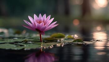 Serene Pink Lotus Flower in Tranquil Pond Background with Copyspace for Nature Photography photo