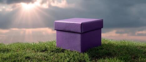 Purple Gift Box on Grassy Field with Dramatic Sky Background Copyspace for Creative Projects photo