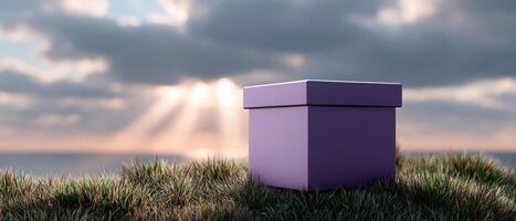 Purple Gift Box on Grassy Landscape with Background Copyspace for Artistic Presentation photo