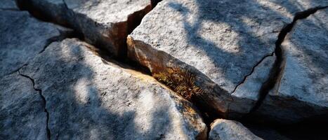 Sunlit Cracked Boulder Background with Copyspace Nature Close-Up Intimate View photo