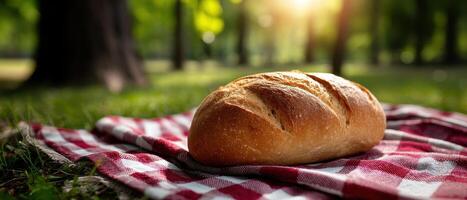 Crusty Bread on Rustic Picnic Blanket in Nature Ideal Background and Copyspace for Food Photography photo