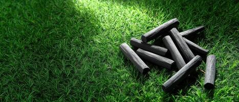Artistic Composition of Scattered Charcoal Sticks on Grass Background with Copyspace photo