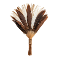 Elegant Decorative Fan Made of Colorful Natural Feathers png