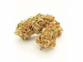 Close-up of dry marijuana buds flower on a white background. photo