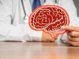 Close-up of a doctor in a uniform holding a brain symbol made from red paper while sitting at the table. photo